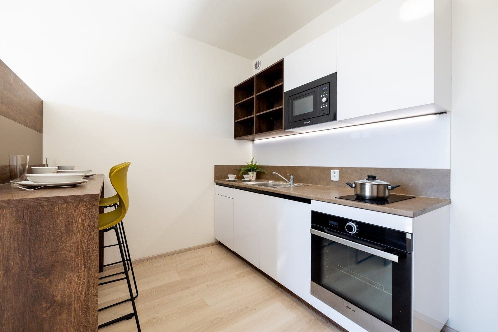 Pronájem bytu 1+kk 27 m², Magisterská, Plzeň, Plzeňský kraj Pronájem bytu 1+kk 27 m², Magisterská, Plzeň, Plzeňský kraj