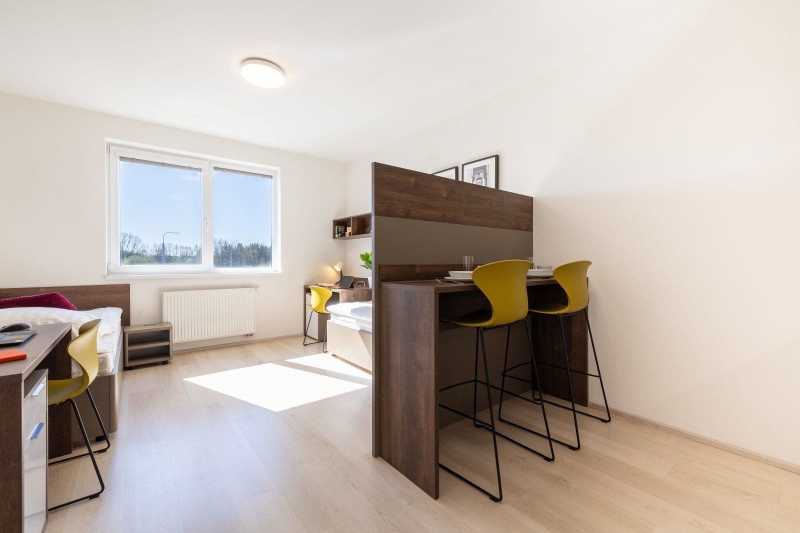 Pronájem bytu 1+kk 27 m², Magisterská, Plzeň, Plzeňský kraj Pronájem bytu 1+kk 27 m², Magisterská, Plzeň, Plzeňský kraj