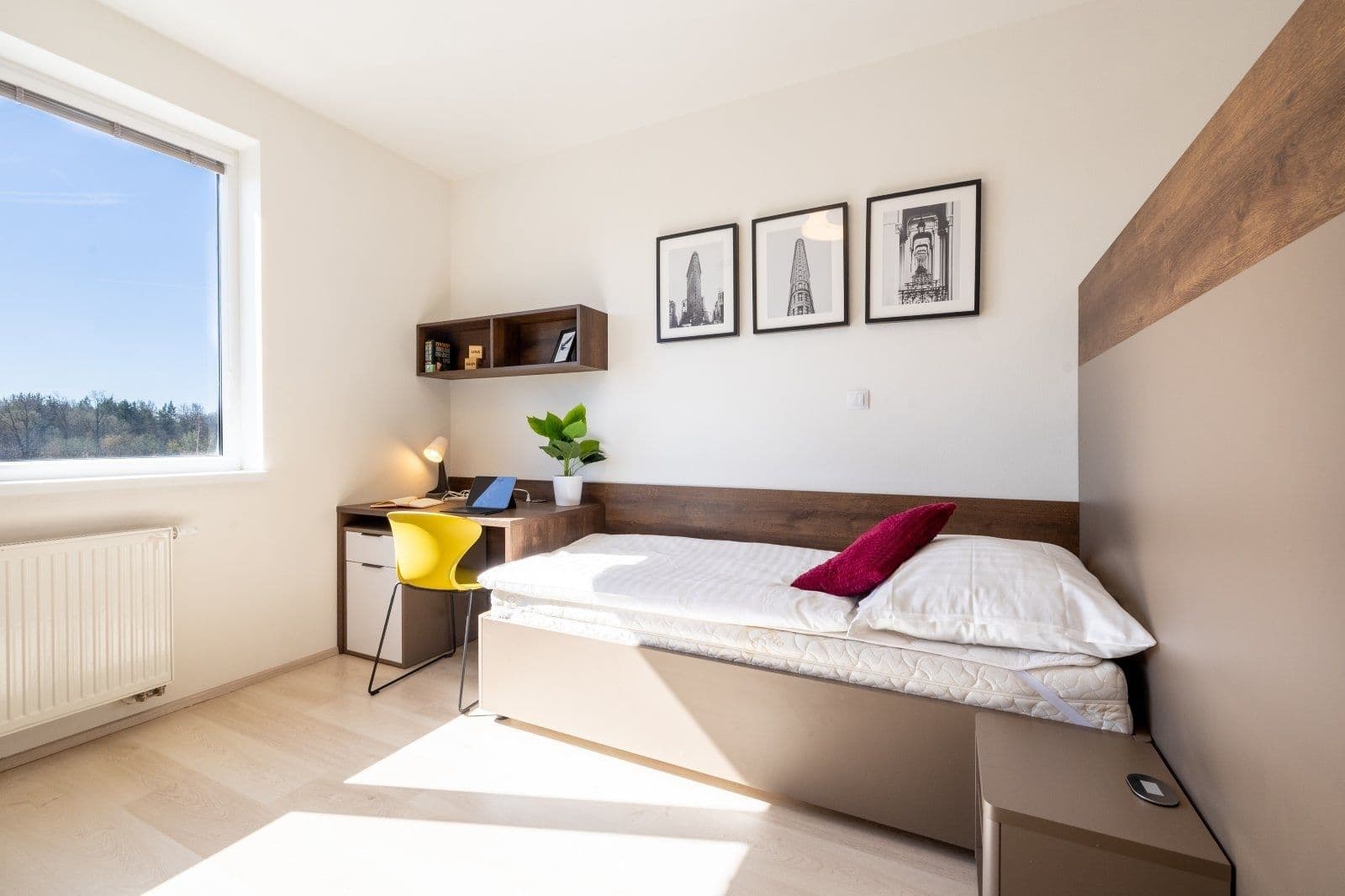 Pronájem bytu 1+kk 27 m², Magisterská, Plzeň, Plzeňský kraj Pronájem bytu 1+kk 27 m², Magisterská, Plzeň, Plzeňský kraj