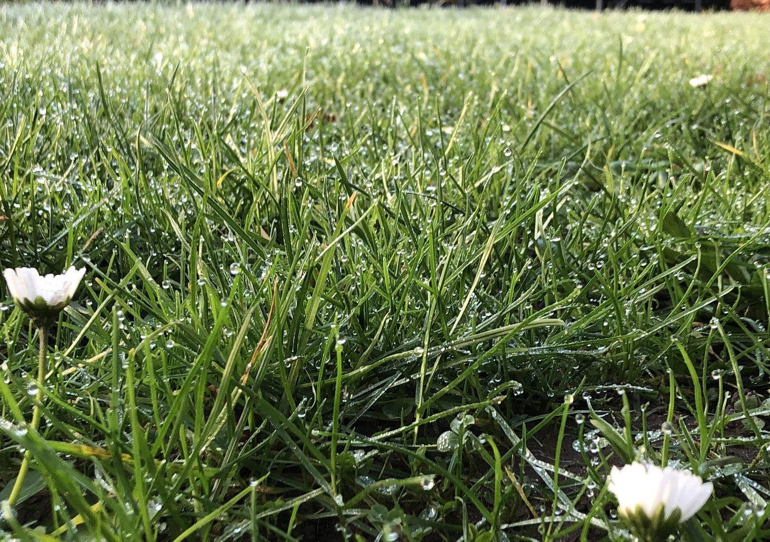 Prodej domu 120 m², pozemek 323 m², Wesel, Severní Porýní-Vestfálsko Prodej domu 120 m², pozemek 323 m², Wesel, Severní Porýní-Vestfálsko