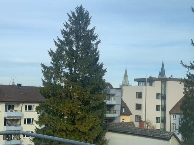 Pronájem bytu 3+kk 130 m², Tägermoosstr. 16, Konstanz, Bádensko-Württembersko Pronájem bytu 3+kk 130 m², Tägermoosstr. 16, Konstanz, Bádensko-Württembersko