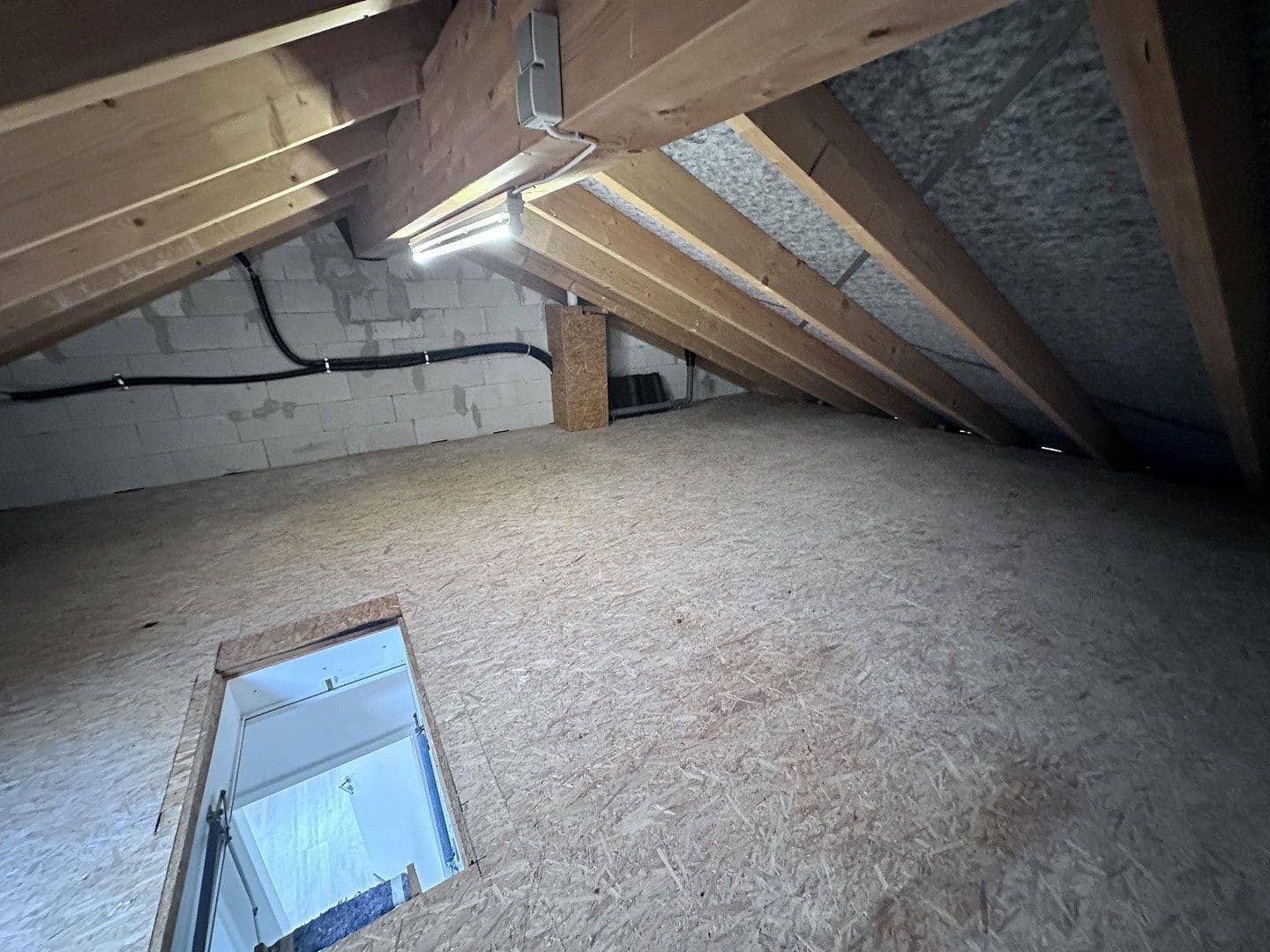 Prodej domu 107 m², pozemek 448 m², Kollwitzstraße 29, Brieselang, Braniborsko Prodej domu 107 m², pozemek 448 m², Kollwitzstraße 29, Brieselang, Braniborsko