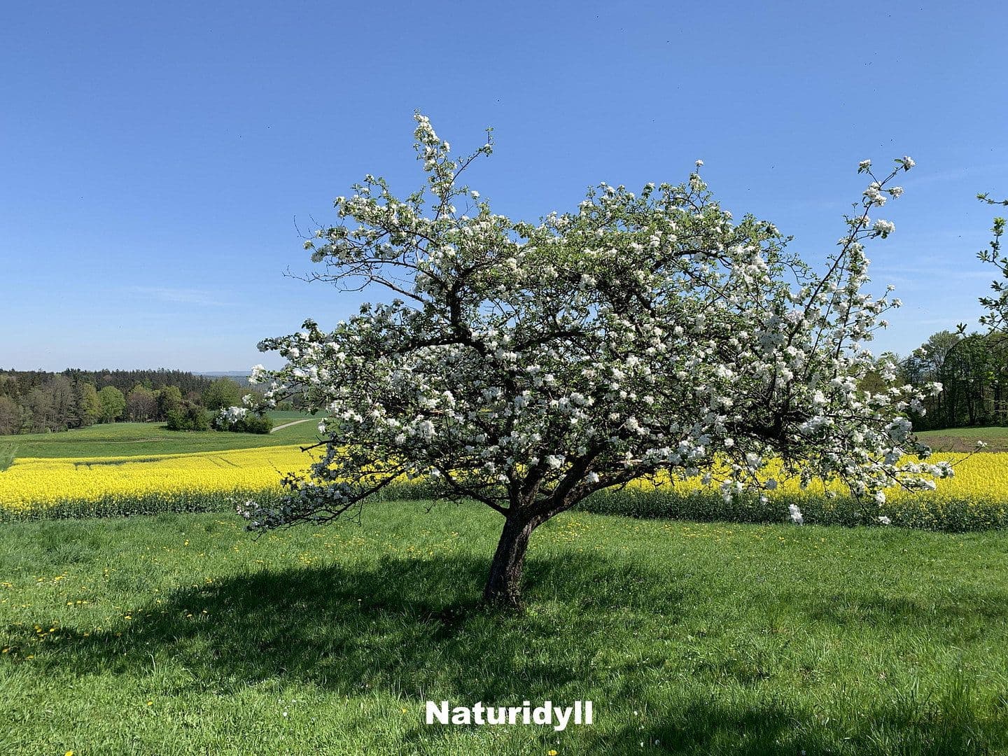 Prodej domu 350 m², pozemek 255.000 m², Ebersberg, Bavorsko Prodej domu 350 m², pozemek 255.000 m², Ebersberg, Bavorsko