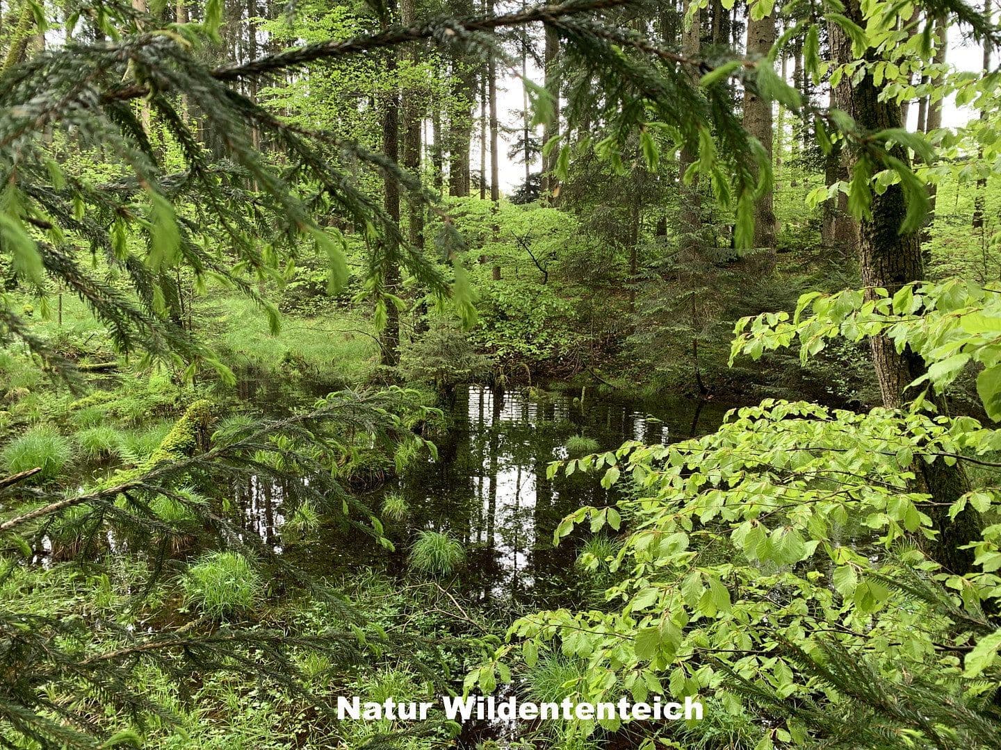 Prodej domu 350 m², pozemek 255.000 m², Ebersberg, Bavorsko Prodej domu 350 m², pozemek 255.000 m², Ebersberg, Bavorsko