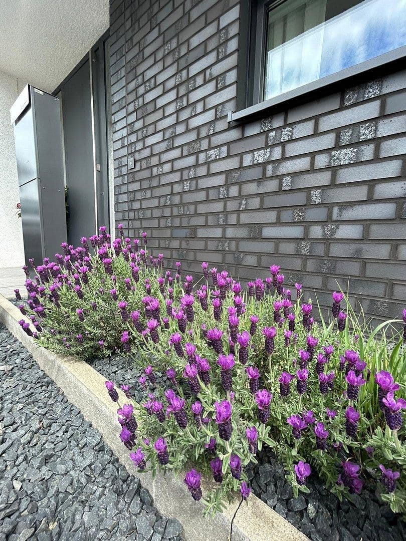 Prodej domu 152 m², pozemek 451 m², Jüchen, Severní Porýní-Vestfálsko Prodej domu 152 m², pozemek 451 m², Jüchen, Severní Porýní-Vestfálsko