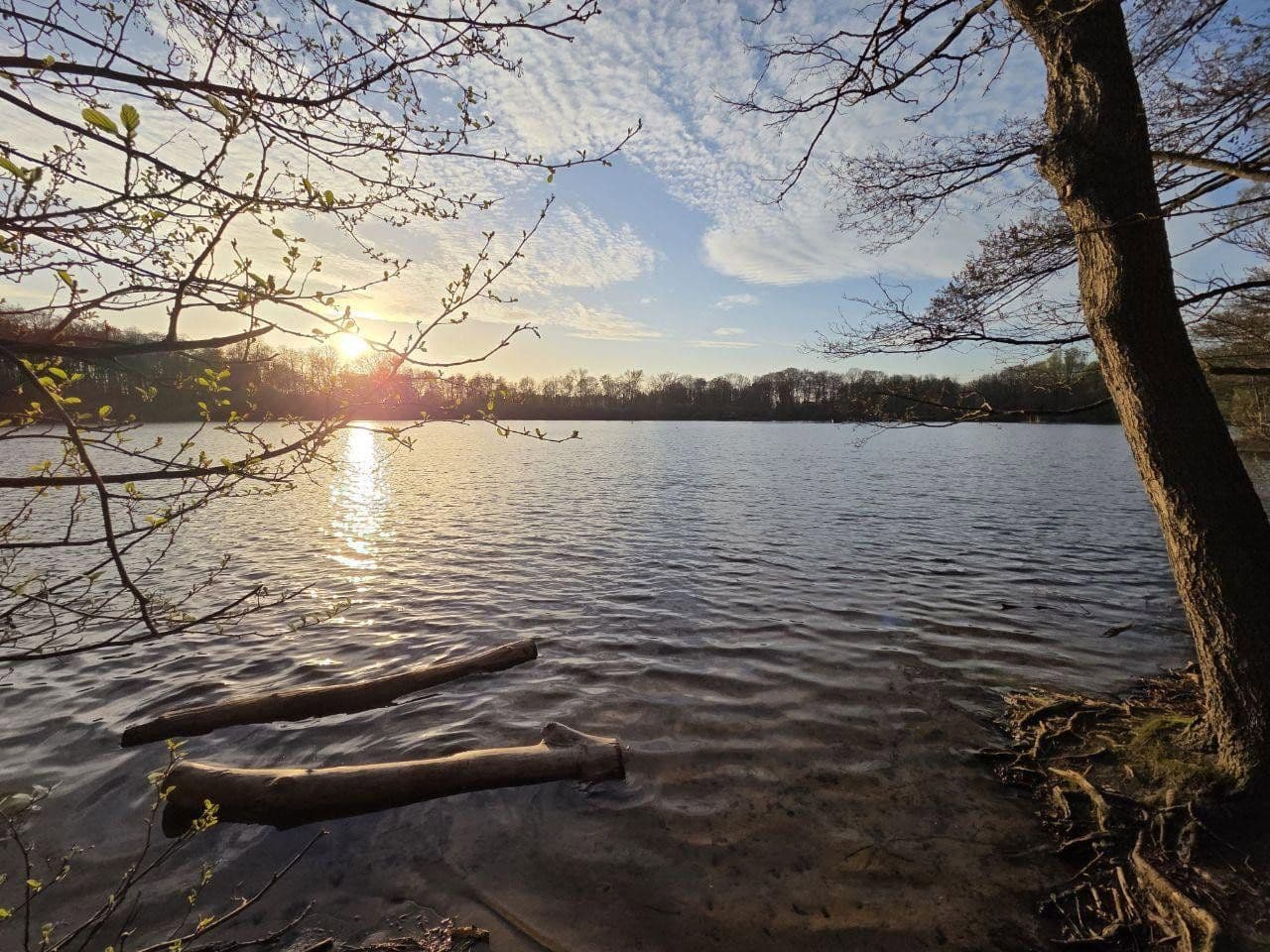 Pronájem bytu 3+1 73 m², Weidenstraße 3, Halstenbek, Šlesvicko-Holštýnsko Pronájem bytu 3+1 73 m², Weidenstraße 3, Halstenbek, Šlesvicko-Holštýnsko