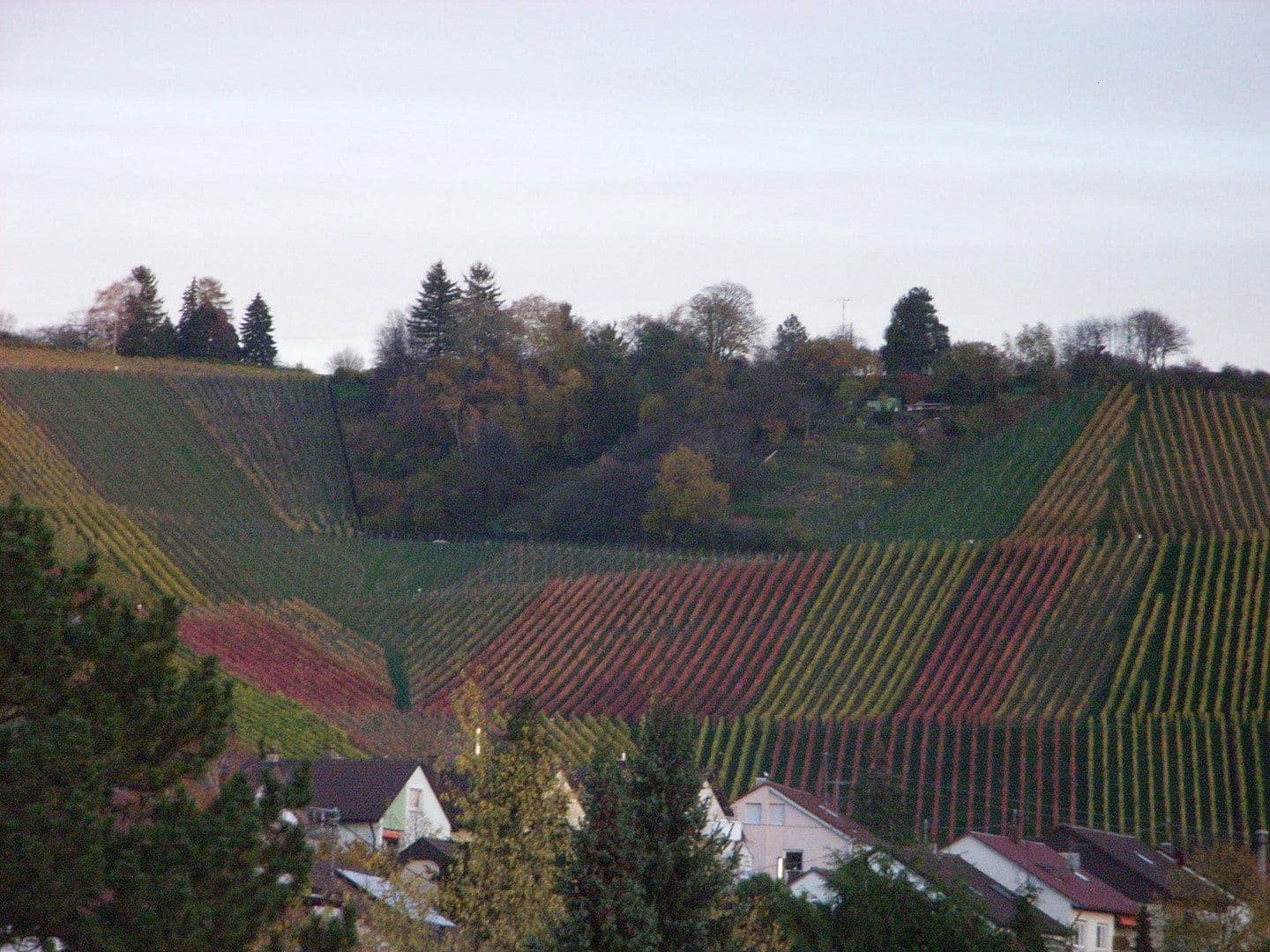 Prodej bytu 4+kk 112 m², Burghaldenstraße 13, Weinstadt, Bádensko-Württembersko Prodej bytu 4+kk 112 m², Burghaldenstraße 13, Weinstadt, Bádensko-Württembersko