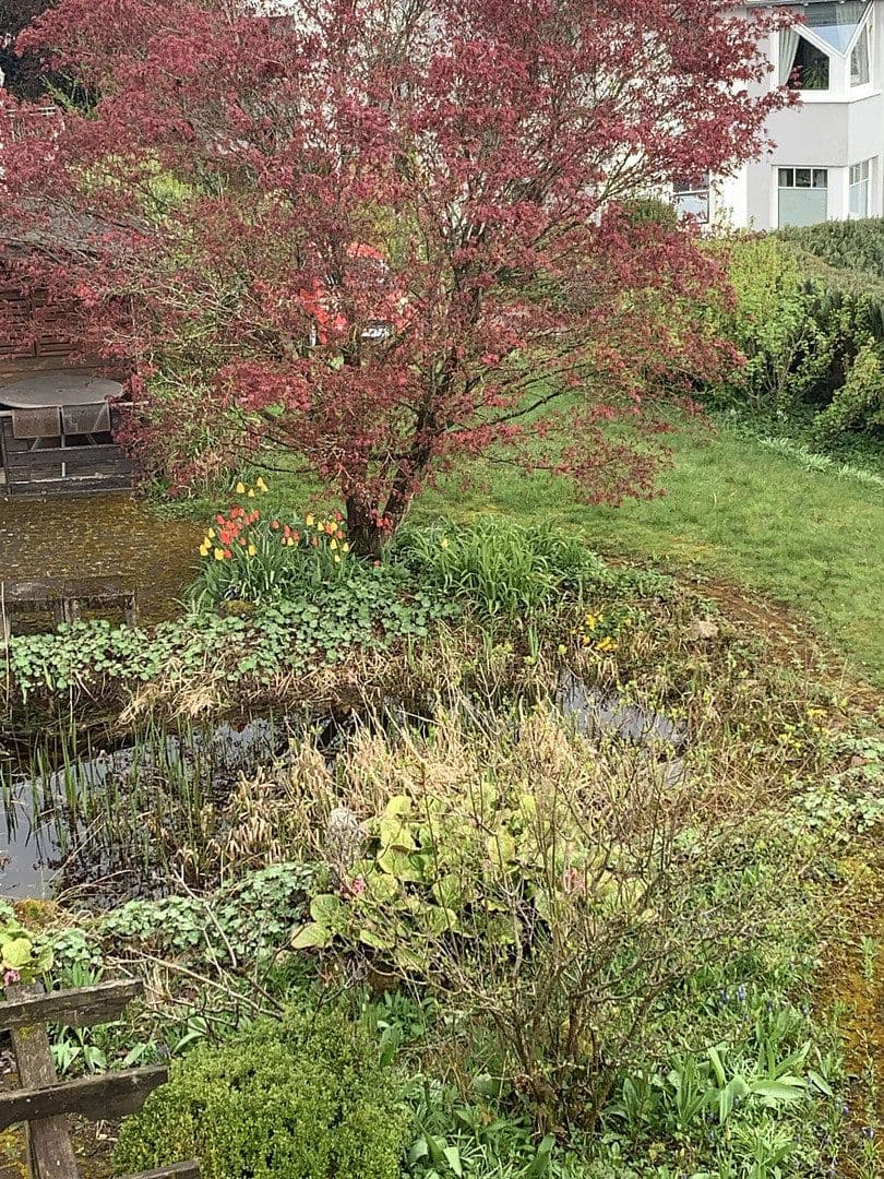 Prodej domu 166 m², pozemek 886 m², Brilon, Severní Porýní-Vestfálsko Prodej domu 166 m², pozemek 886 m², Brilon, Severní Porýní-Vestfálsko