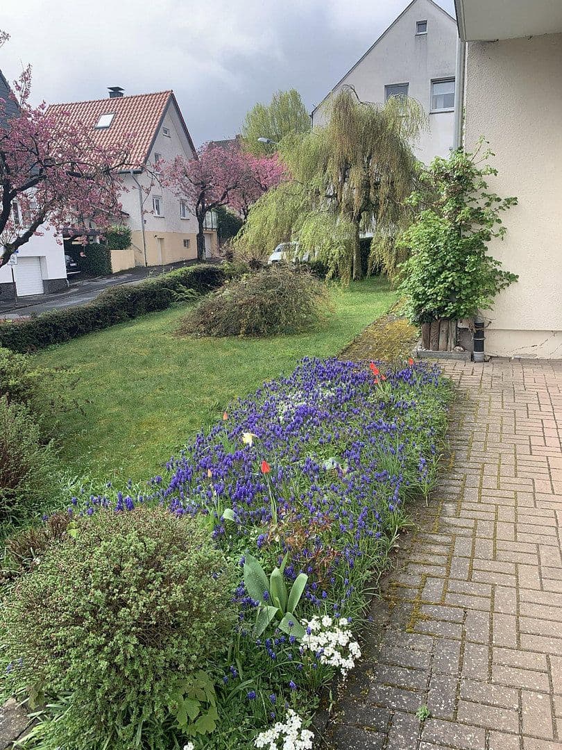 Prodej domu 166 m², pozemek 886 m², Brilon, Severní Porýní-Vestfálsko Prodej domu 166 m², pozemek 886 m², Brilon, Severní Porýní-Vestfálsko