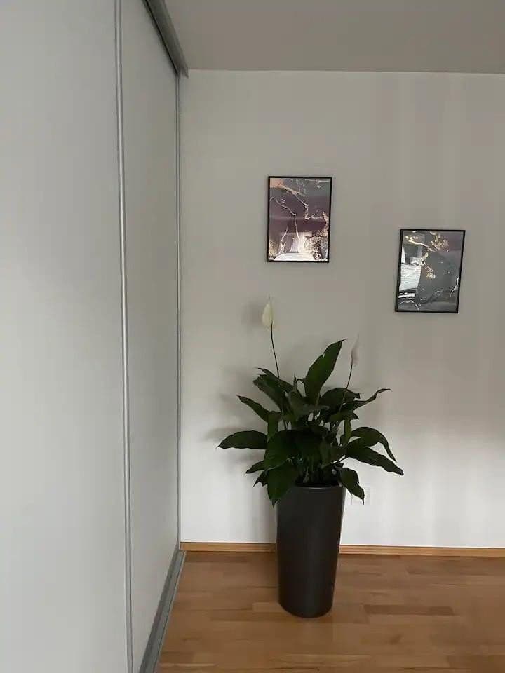 Pronájem bytu 2+1 57 m², München, Bavorsko Pronájem bytu 2+1 57 m², München, Bavorsko