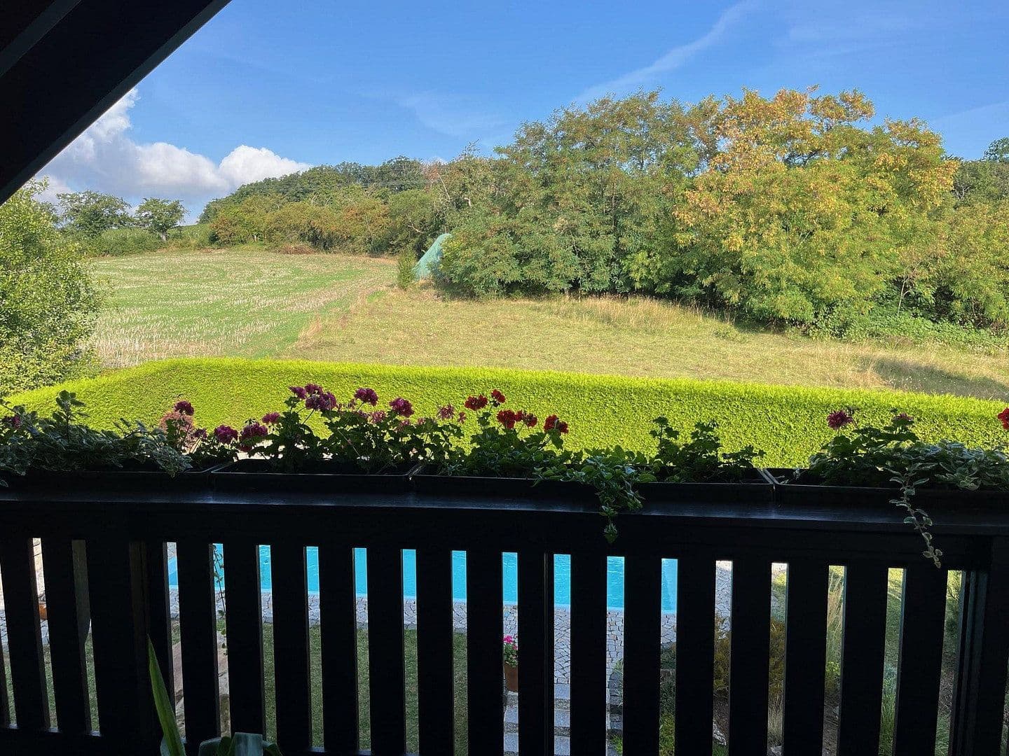 Prodej domu 206 m², pozemek 811 m², zur Heide 53, Naumburg (Saale), Sasko-Anhaltsko Prodej domu 206 m², pozemek 811 m², zur Heide 53, Naumburg (Saale), Sasko-Anhaltsko