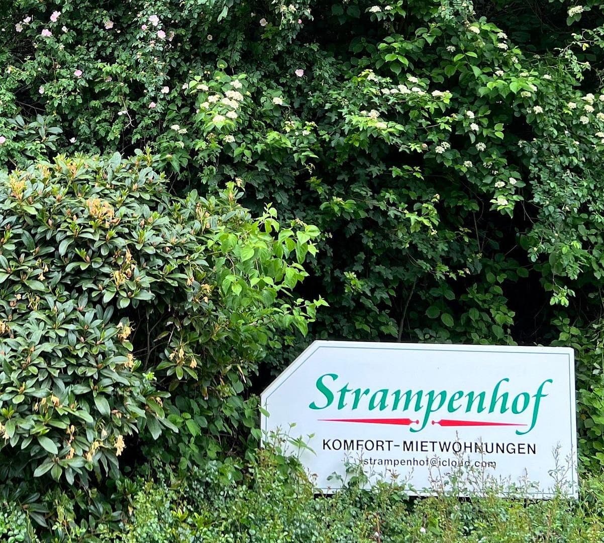 Pronájem bytu 3+1 116 m², An der Hofkoppel 6 a, Bad Bevensen, Dolní Sasko Pronájem bytu 3+1 116 m², An der Hofkoppel 6 a, Bad Bevensen, Dolní Sasko