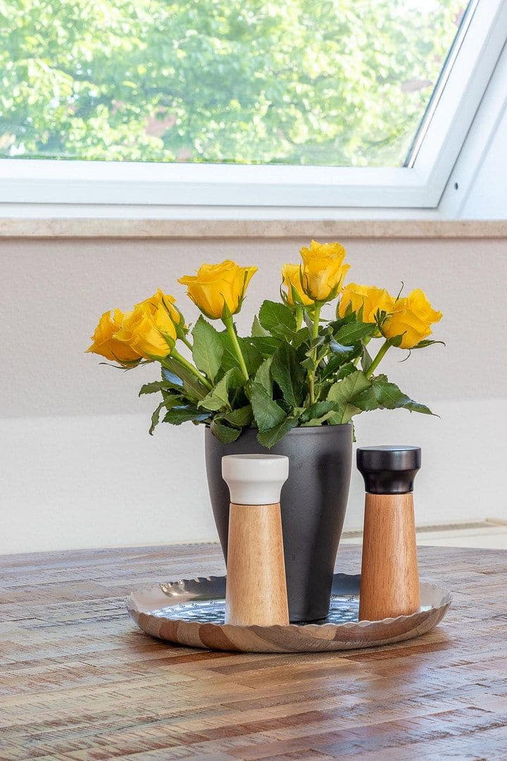 Pronájem bytu 2+1 49 m², Cvikov, Sasko Pronájem bytu 2+1 49 m², Cvikov, Sasko