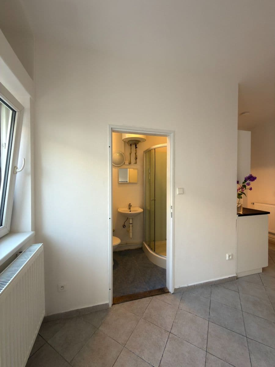 Pronájem bytu 1+kk 15 m², Zbynická, Praha, Praha Pronájem bytu 1+kk 15 m², Zbynická, Praha, Praha