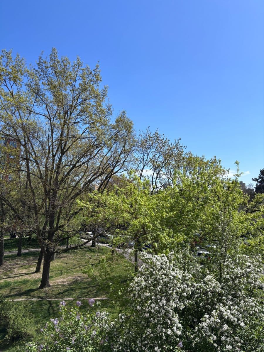 Pronájem bytu 3+1 77 m², Novodvorská, Praha, Praha Pronájem bytu 3+1 77 m², Novodvorská, Praha, Praha