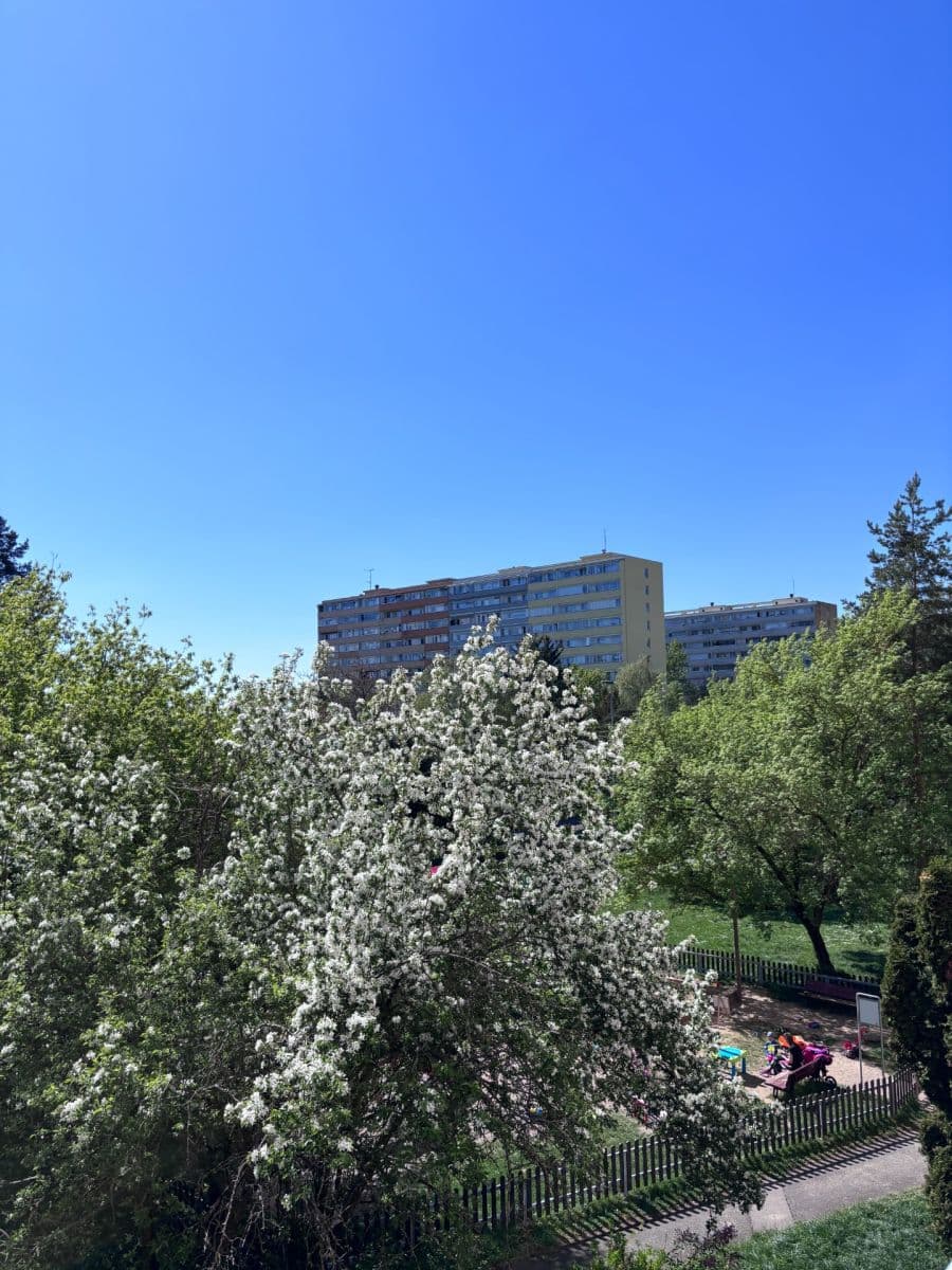 Pronájem bytu 3+1 77 m², Novodvorská, Praha, Praha Pronájem bytu 3+1 77 m², Novodvorská, Praha, Praha