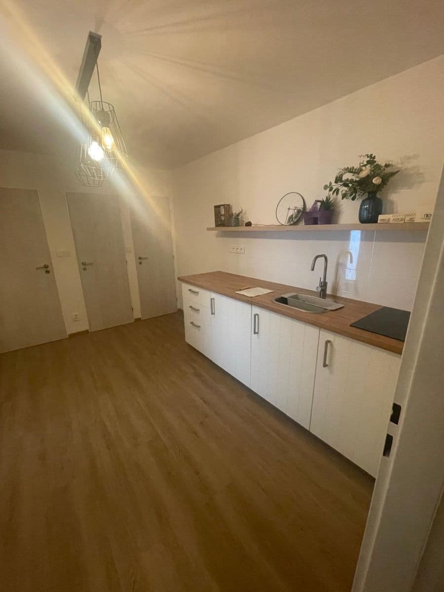 Pronájem bytu 2+kk 45 m², Mlýnská, Brno, Jihomoravský kraj Pronájem bytu 2+kk 45 m², Mlýnská, Brno, Jihomoravský kraj