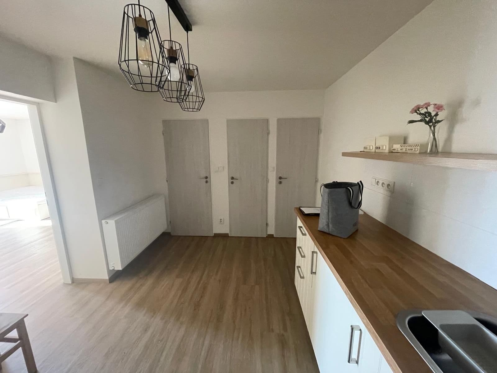 Pronájem bytu 2+kk 45 m², Mlýnská, Brno, Jihomoravský kraj Pronájem bytu 2+kk 45 m², Mlýnská, Brno, Jihomoravský kraj