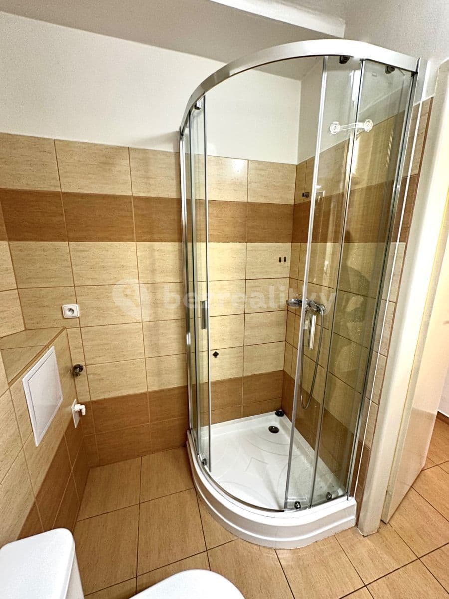 Pronájem bytu 1+kk 16 m², Vrchlického, Praha, Praha Pronájem bytu 1+kk 16 m², Vrchlického, Praha, Praha