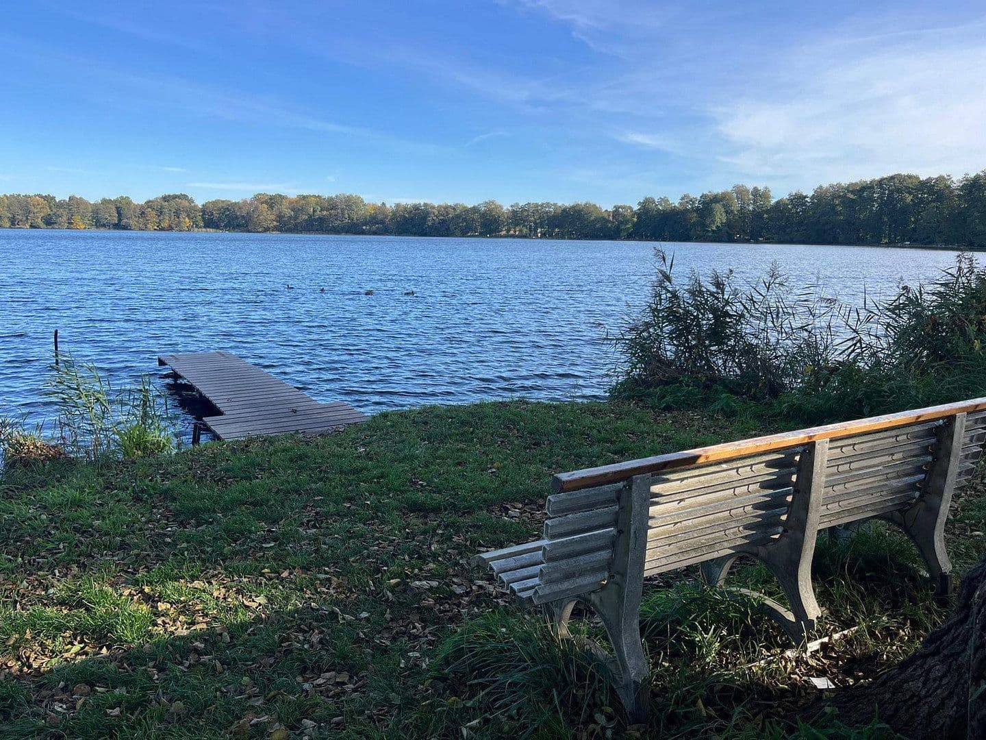 Prodej pozemku 1.293 m², Königs Wusterhausen, Braniborsko Prodej pozemku 1.293 m², Königs Wusterhausen, Braniborsko
