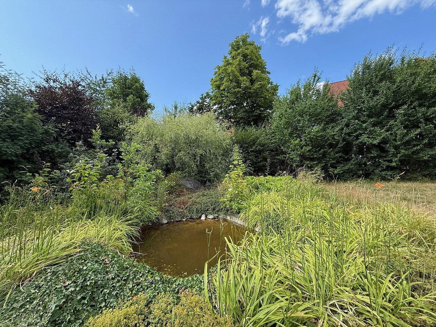 Prodej domu 478 m², pozemek 1.827 m², Neuhof, Hessen Prodej domu 478 m², pozemek 1.827 m², Neuhof, Hessen