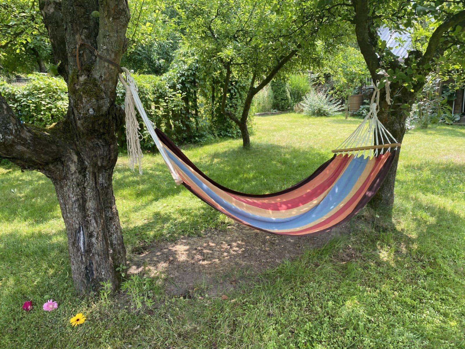 Prodej domu 433 m², pozemek 1.000 m², Mnichovo Hradiště, Středočeský kraj Prodej domu 433 m², pozemek 1.000 m², Mnichovo Hradiště, Středočeský kraj