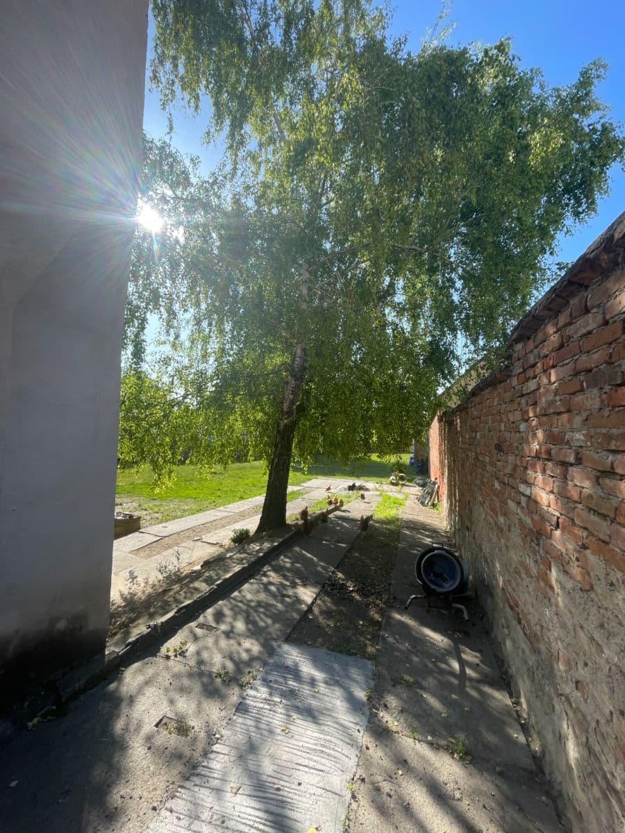 Prodej domu 360 m², pozemek 1.800 m², nám. děk. Františka Kvapila, Nezamyslice, Olomoucký kraj Prodej domu 360 m², pozemek 1.800 m², nám. děk. Františka Kvapila, Nezamyslice, Olomoucký kraj