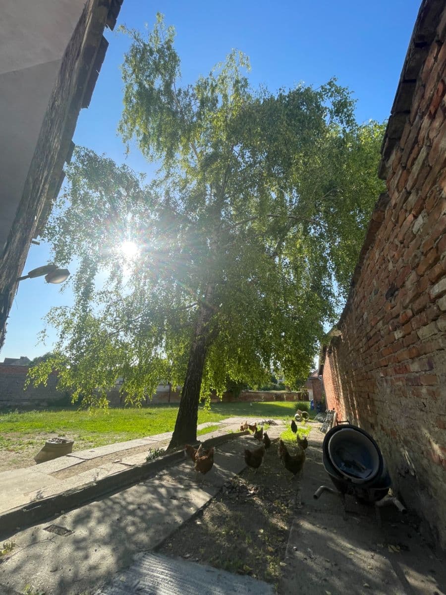 Prodej domu 360 m², pozemek 1.800 m², nám. děk. Františka Kvapila, Nezamyslice, Olomoucký kraj Prodej domu 360 m², pozemek 1.800 m², nám. děk. Františka Kvapila, Nezamyslice, Olomoucký kraj