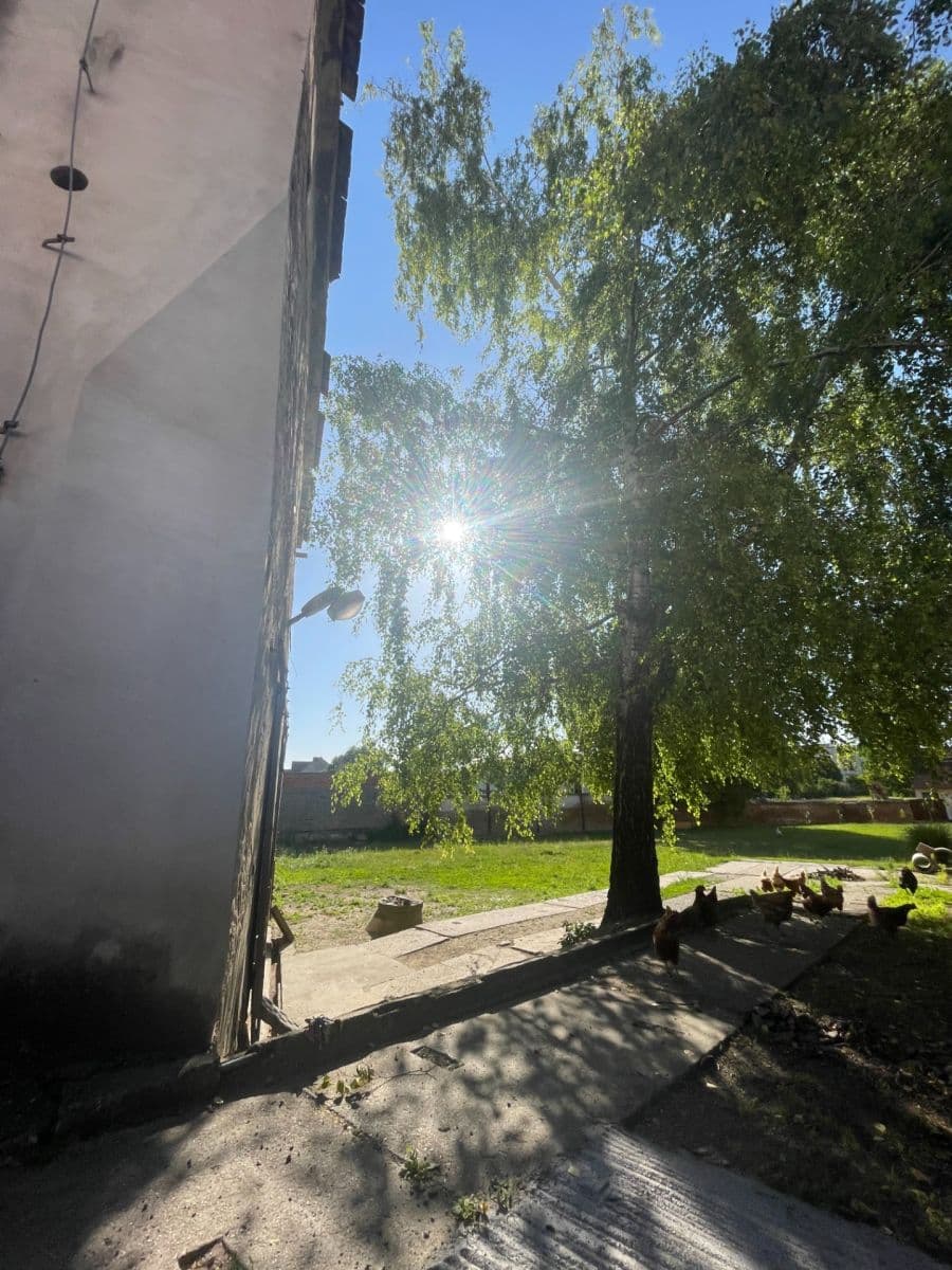 Prodej domu 360 m², pozemek 1.800 m², nám. děk. Františka Kvapila, Nezamyslice, Olomoucký kraj Prodej domu 360 m², pozemek 1.800 m², nám. děk. Františka Kvapila, Nezamyslice, Olomoucký kraj