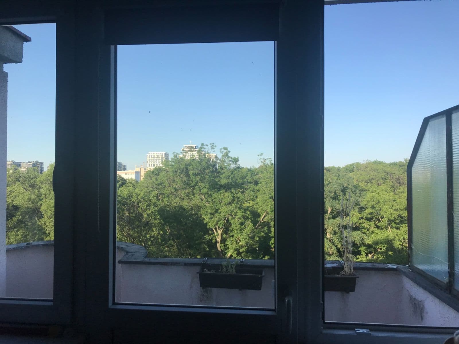 Prodej bytu 2+1 71 m², Jičínská, Praha, Praha Prodej bytu 2+1 71 m², Jičínská, Praha, Praha