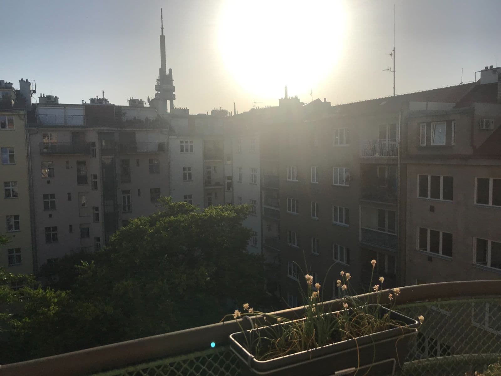 Prodej bytu 2+1 71 m², Jičínská, Praha, Praha Prodej bytu 2+1 71 m², Jičínská, Praha, Praha