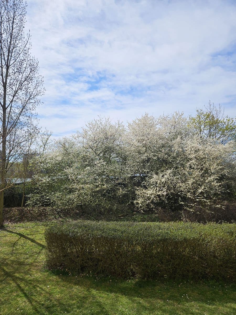 Pronájem bytu 1+kk 31 m², Jaroslava Foglara, Praha, Praha Pronájem bytu 1+kk 31 m², Jaroslava Foglara, Praha, Praha