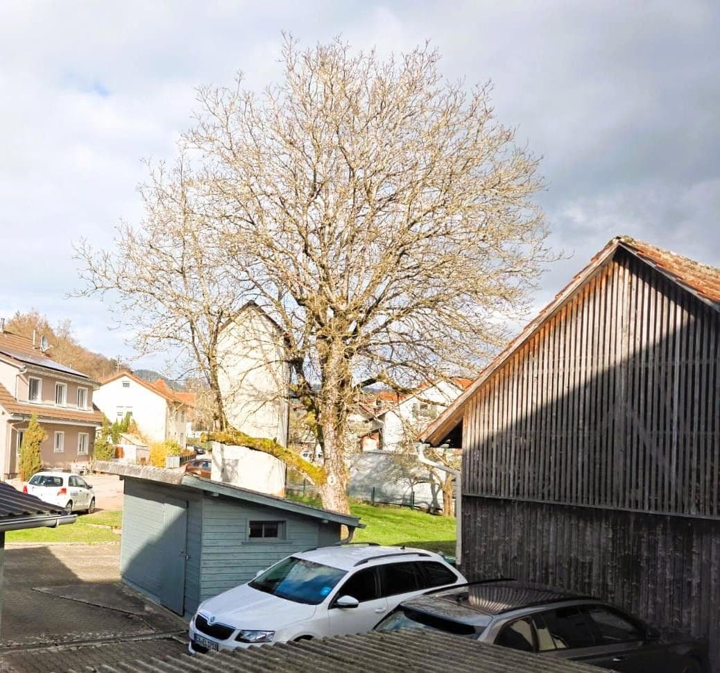 Pronájem bytu 2+1 58 m², Kürnberger Str. 15, Schopfheim, Bádensko-Württembersko Pronájem bytu 2+1 58 m², Kürnberger Str. 15, Schopfheim, Bádensko-Württembersko