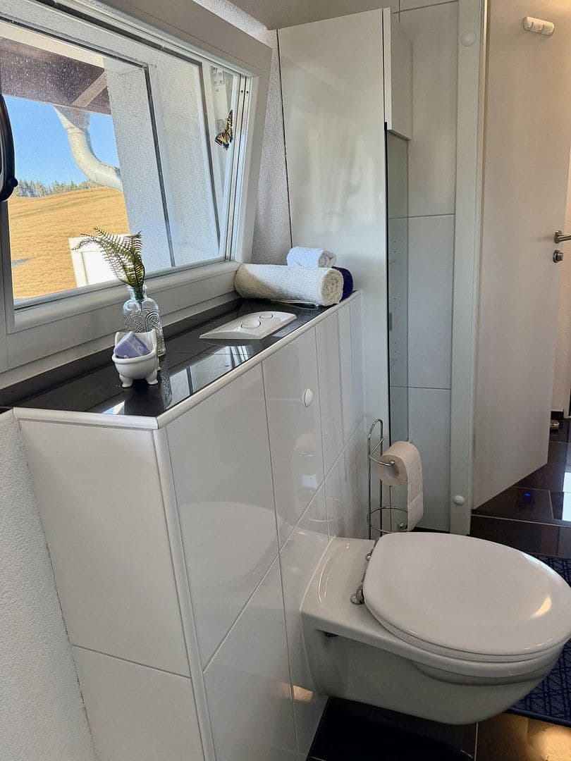 Prodej domu 64 m², pozemek 687 m², Todtnau, Bádensko-Württembersko Prodej domu 64 m², pozemek 687 m², Todtnau, Bádensko-Württembersko