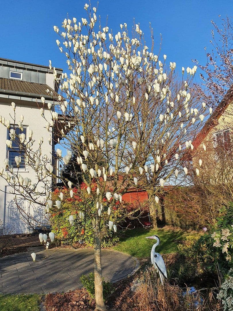 Prodej domu 260 m², pozemek 634 m², Lohmar, Severní Porýní-Vestfálsko Prodej domu 260 m², pozemek 634 m², Lohmar, Severní Porýní-Vestfálsko