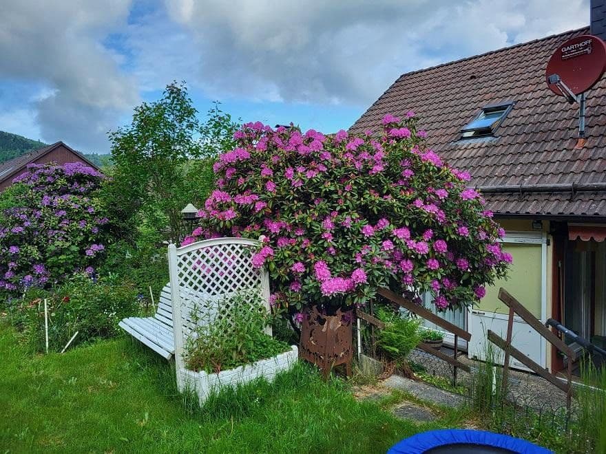 Prodej domu 274 m², pozemek 960 m², Langelsheim, Dolní Sasko Prodej domu 274 m², pozemek 960 m², Langelsheim, Dolní Sasko