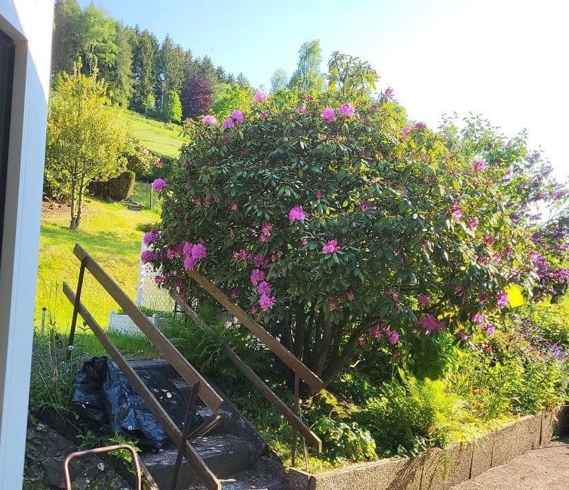 Prodej domu 274 m², pozemek 960 m², Langelsheim, Dolní Sasko Prodej domu 274 m², pozemek 960 m², Langelsheim, Dolní Sasko