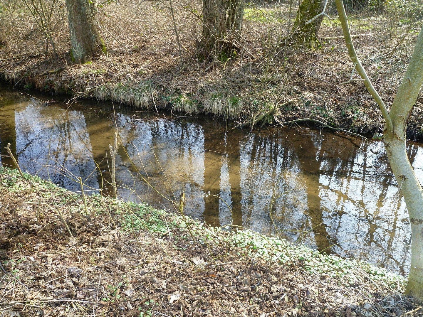 Prodej domu 135 m², pozemek 1.150 m², Wittstock/Dosse, Braniborsko Prodej domu 135 m², pozemek 1.150 m², Wittstock/Dosse, Braniborsko