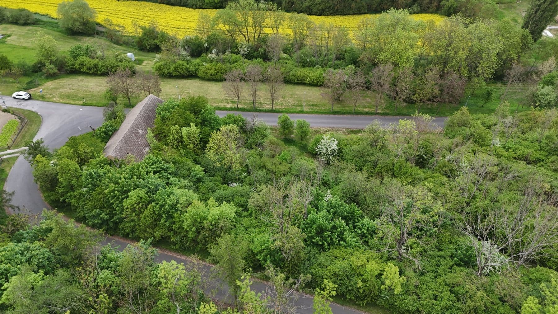 Prodej pozemku 3.001 m², Mšené-lázně, Ústecký kraj Prodej pozemku 3.001 m², Mšené-lázně, Ústecký kraj