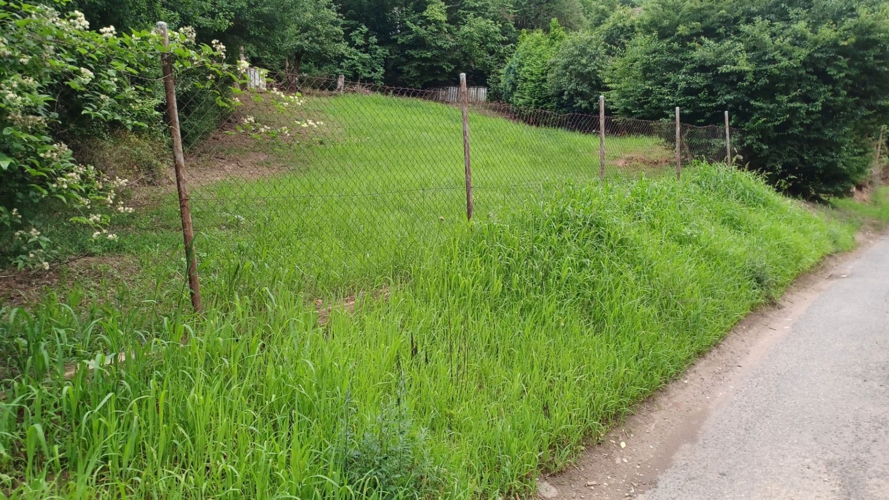 Prodej pozemku 621 m², Všenory, Středočeský kraj Prodej pozemku 621 m², Všenory, Středočeský kraj