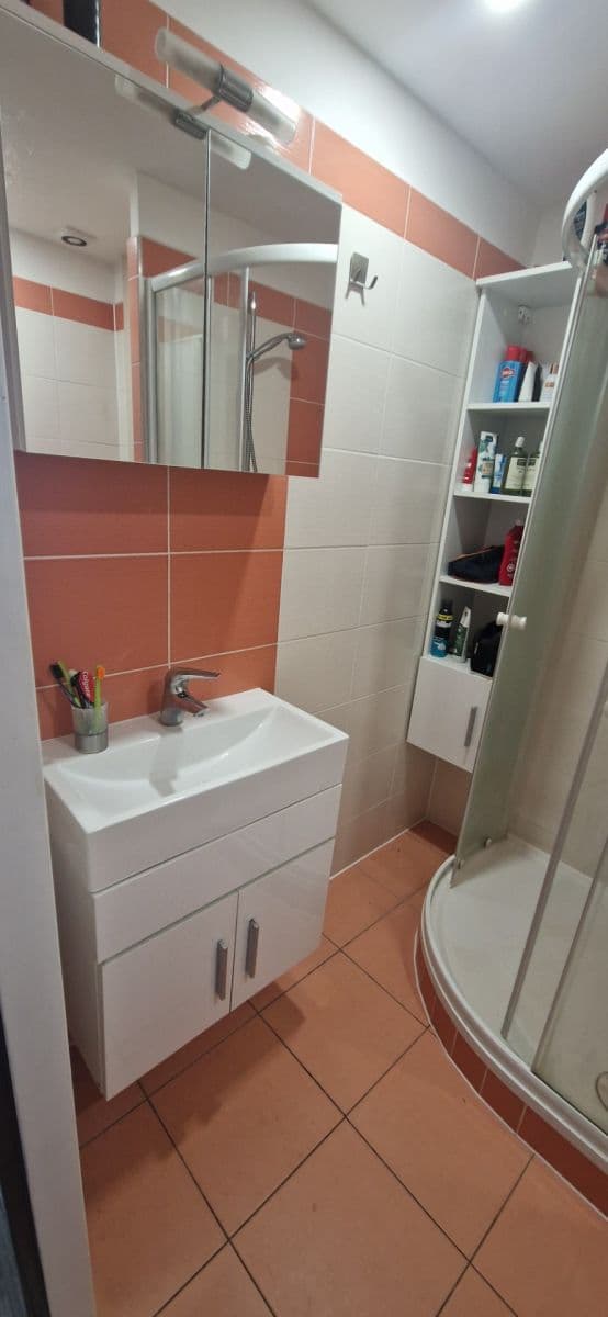 Pronájem bytu 2+kk 49 m², Trnovanská, Teplice, Ústecký kraj Pronájem bytu 2+kk 49 m², Trnovanská, Teplice, Ústecký kraj