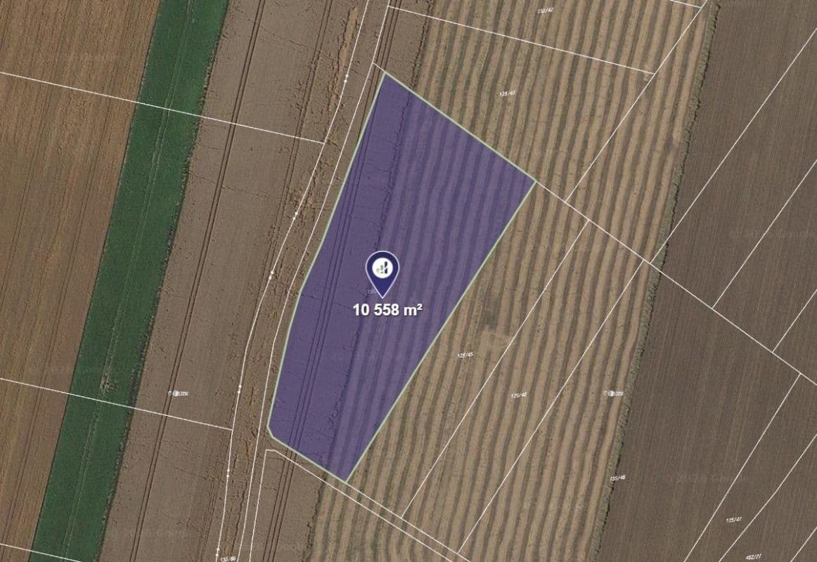 Prodej pozemku 18.402 m², Jičíněves, Královéhradecký kraj Prodej pozemku 18.402 m², Jičíněves, Královéhradecký kraj