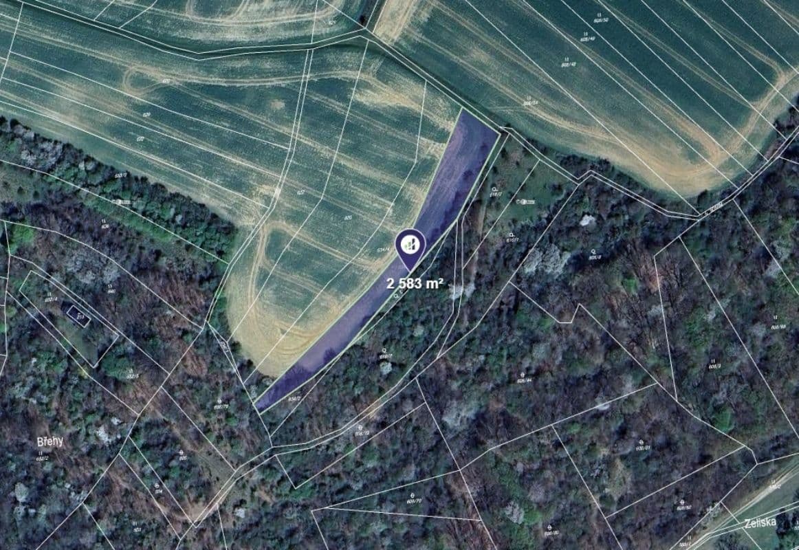 Prodej pozemku 11.305 m², Nová Dědina, Zlínský kraj Prodej pozemku 11.305 m², Nová Dědina, Zlínský kraj