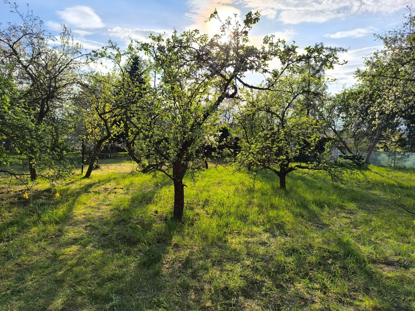 Prodej pozemku 349 m², Kolín, Středočeský kraj Prodej pozemku 349 m², Kolín, Středočeský kraj