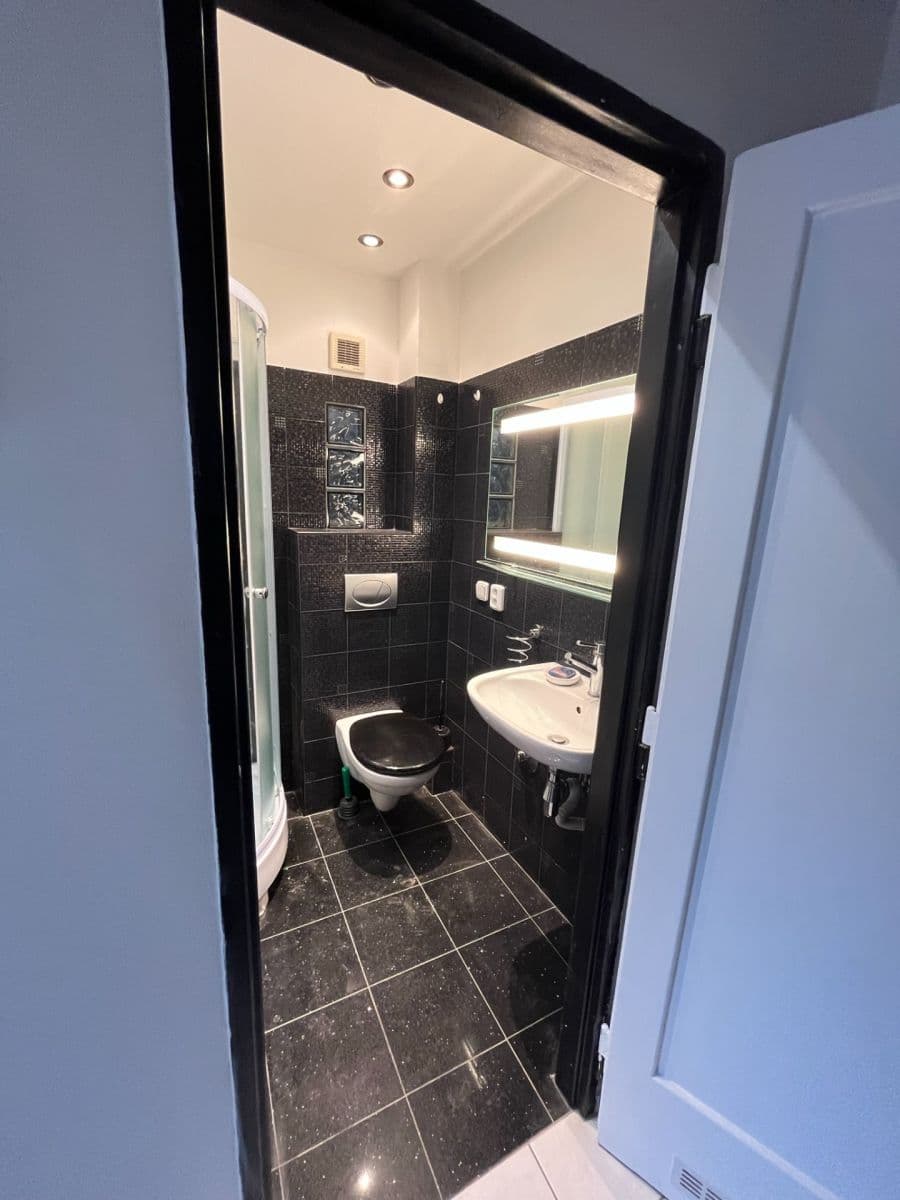Pronájem bytu 2+1 53 m², Vrchlického, Praha, Praha Pronájem bytu 2+1 53 m², Vrchlického, Praha, Praha
