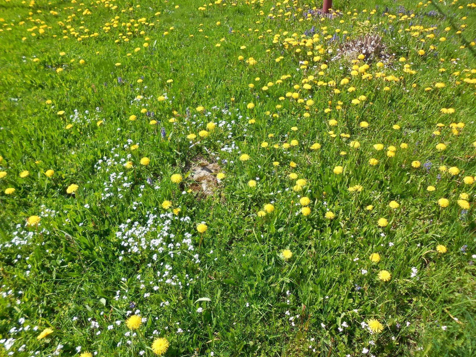 Prodej domu 200 m², pozemek 12.200 m², Roprachtice, Liberecký kraj Prodej domu 200 m², pozemek 12.200 m², Roprachtice, Liberecký kraj