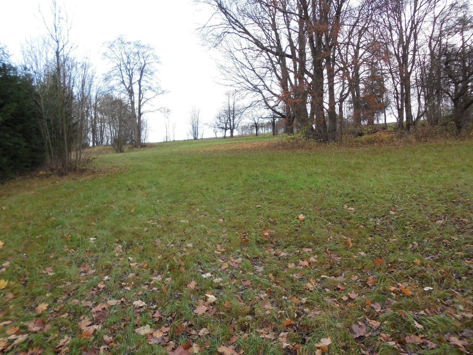 Prodej domu 200 m², pozemek 12.200 m², Roprachtice, Liberecký kraj Prodej domu 200 m², pozemek 12.200 m², Roprachtice, Liberecký kraj