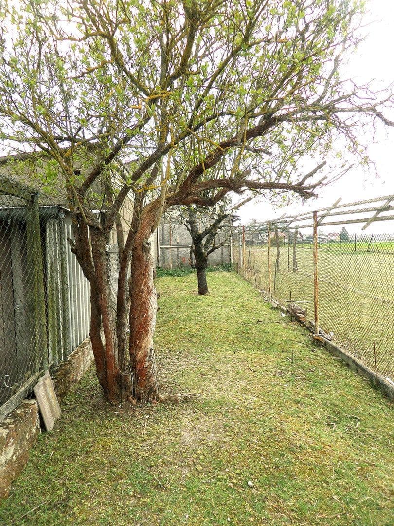Prodej domu 79 m², pozemek 3.085 m², Doberlug-Kirchhain, Braniborsko Prodej domu 79 m², pozemek 3.085 m², Doberlug-Kirchhain, Braniborsko