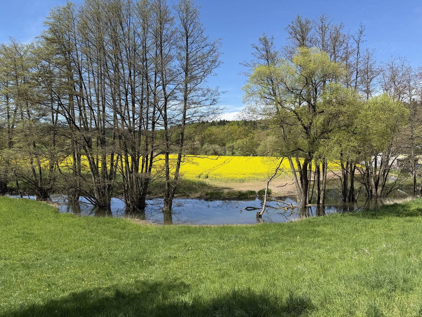 Pronájem bytu 3+1 60 m², Groß-Bieberau, Hessen Pronájem bytu 3+1 60 m², Groß-Bieberau, Hessen