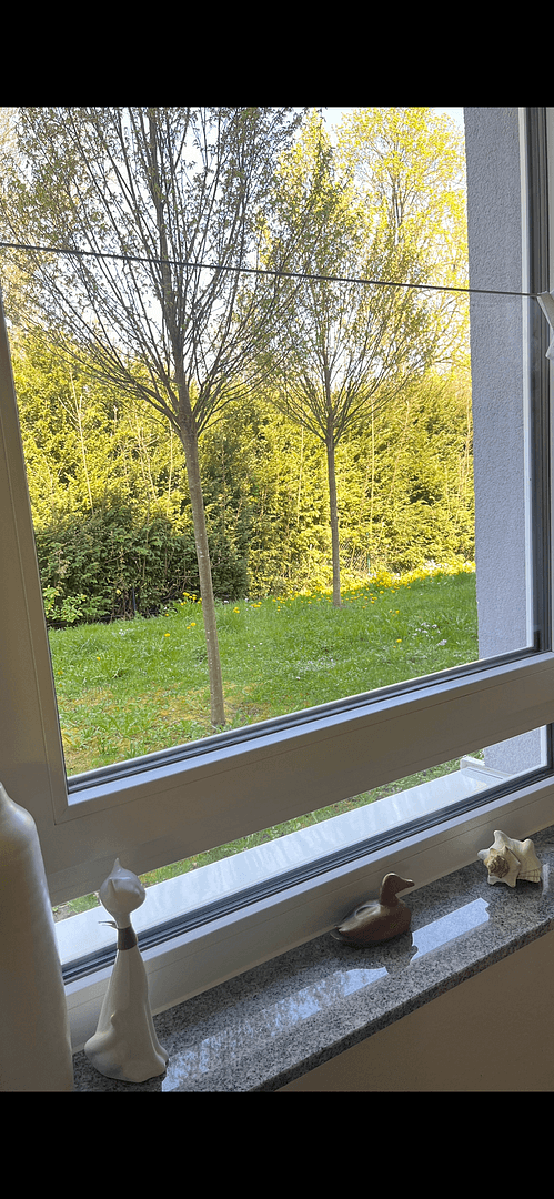 Prodej bytu 4+1 87 m², Stuttgart, Bádensko-Württembersko Prodej bytu 4+1 87 m², Stuttgart, Bádensko-Württembersko